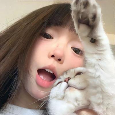 熊战士